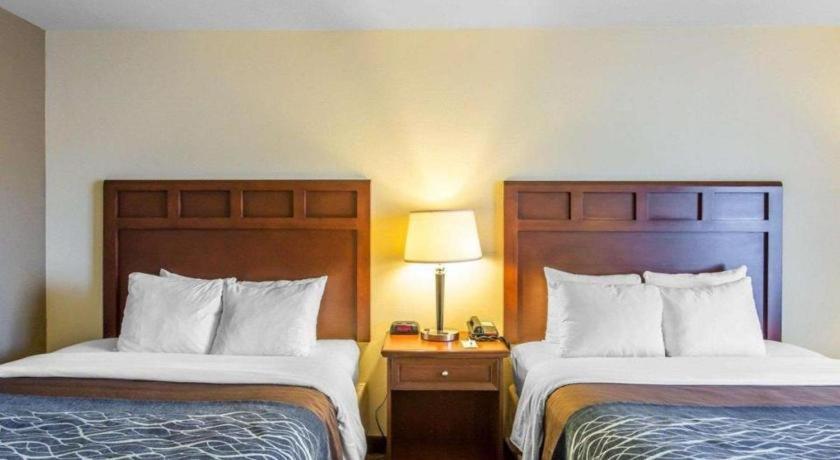 Comfort Inn & Suites Madisonville Esterno foto